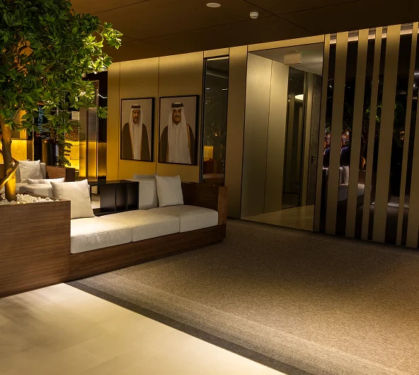 Public Auction as a Means of Acquiring Ownership